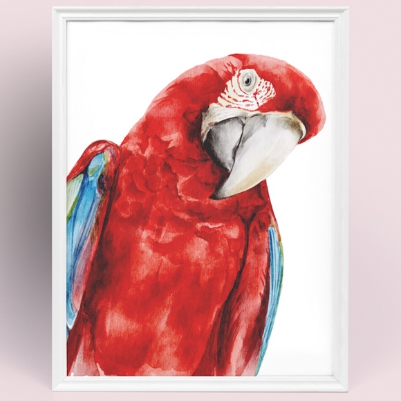 Red Macaw Parrot Watercolor Wall Art Print Poster Unframed - Picture 9 of 9
